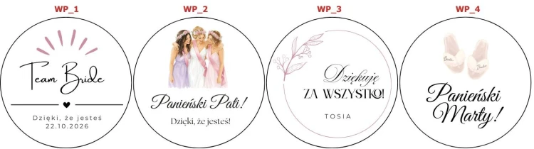 Wieczór panienski.jpg